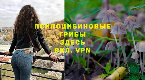 эйфоретик Бугульма
