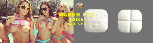 прущие крисы Баксан