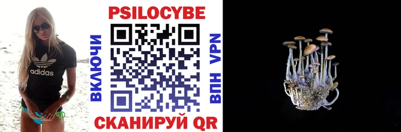 Галлюциногенные грибы Psilocybe  где найти наркотики  Чернушка 