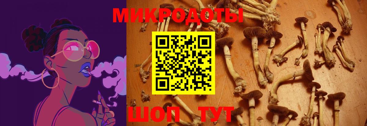 Чернушка  Галлюциногенные грибы MAGIC MUSHROOMS  что такое   Псилоцибиновые грибы GOLDEN TEACHER  Вход с VPN 